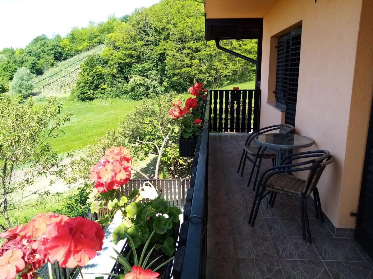 Apartman Potocki Krapina Dış mekan fotoğraf