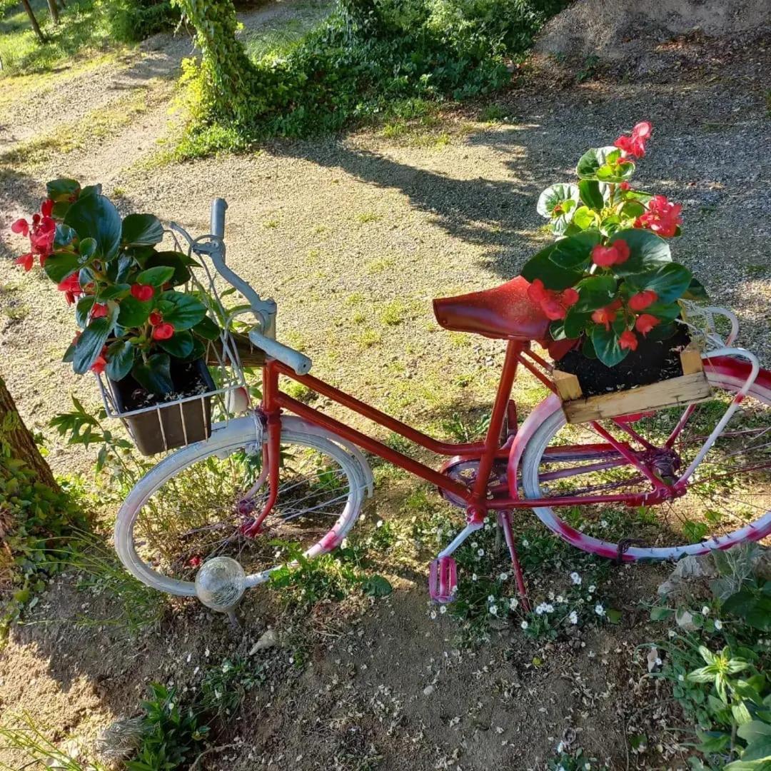 Apartman Potocki Krapina Dış mekan fotoğraf