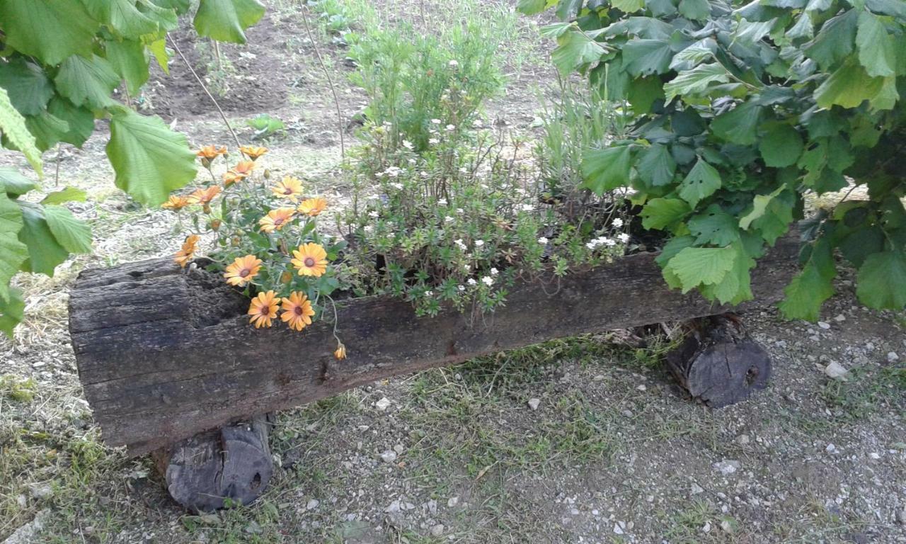 Apartman Potocki Krapina Dış mekan fotoğraf
