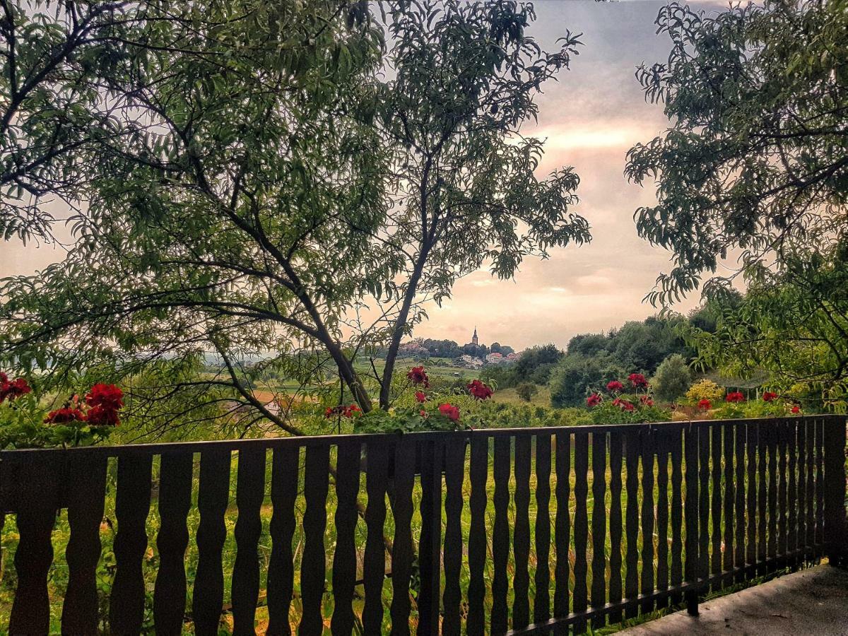 Apartman Potocki Krapina Dış mekan fotoğraf