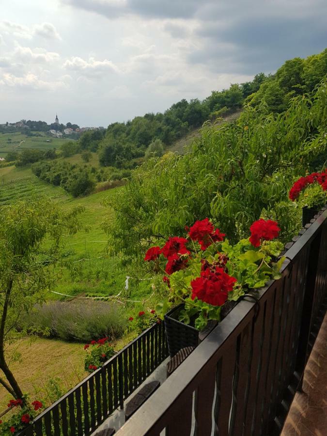 Apartman Potocki Krapina Dış mekan fotoğraf