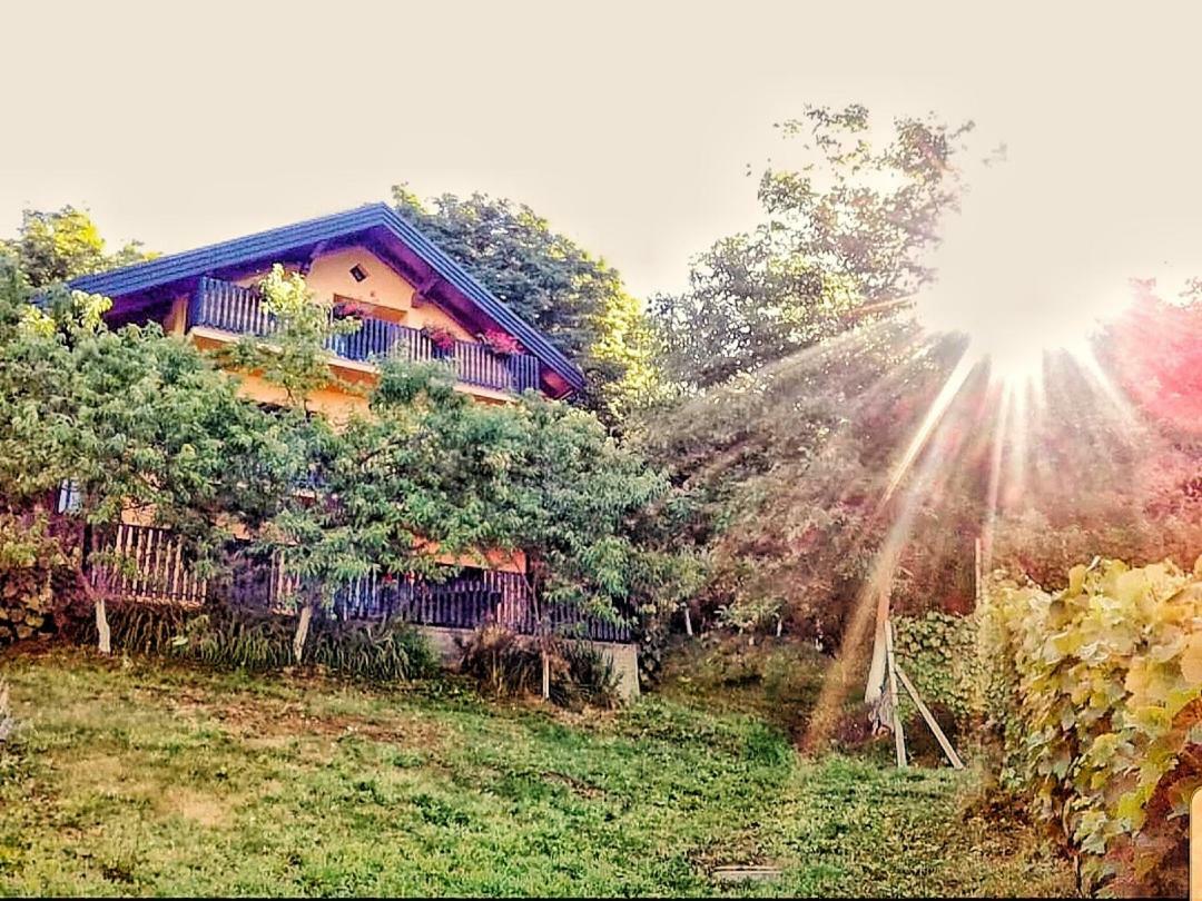 Apartman Potocki Krapina Dış mekan fotoğraf