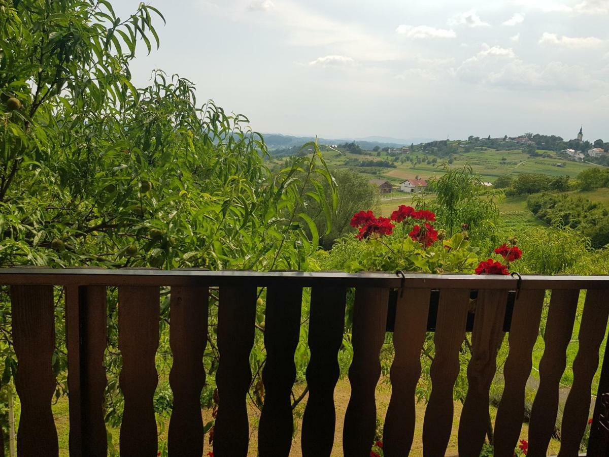 Apartman Potocki Krapina Dış mekan fotoğraf