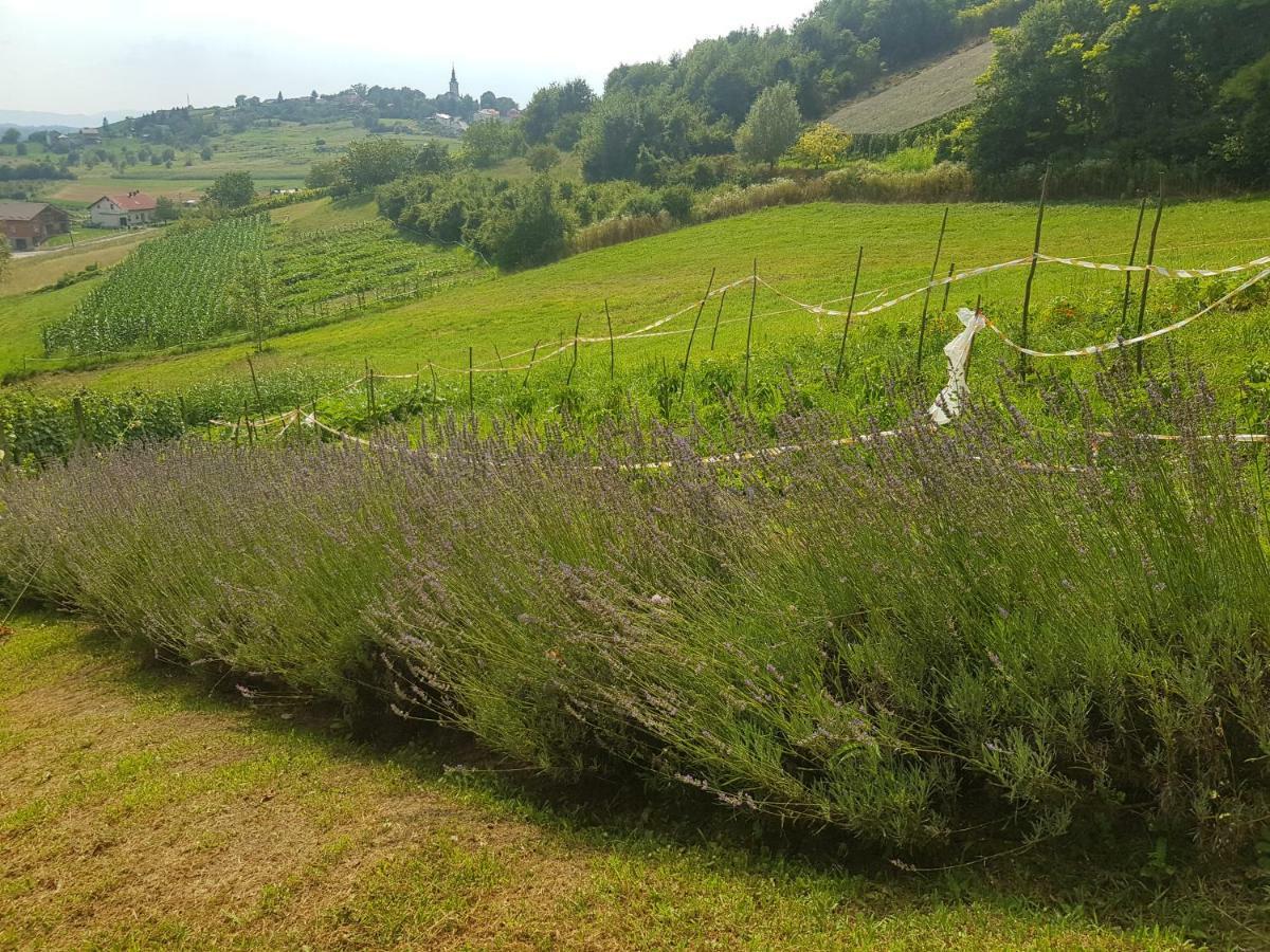 Apartman Potocki Krapina Dış mekan fotoğraf