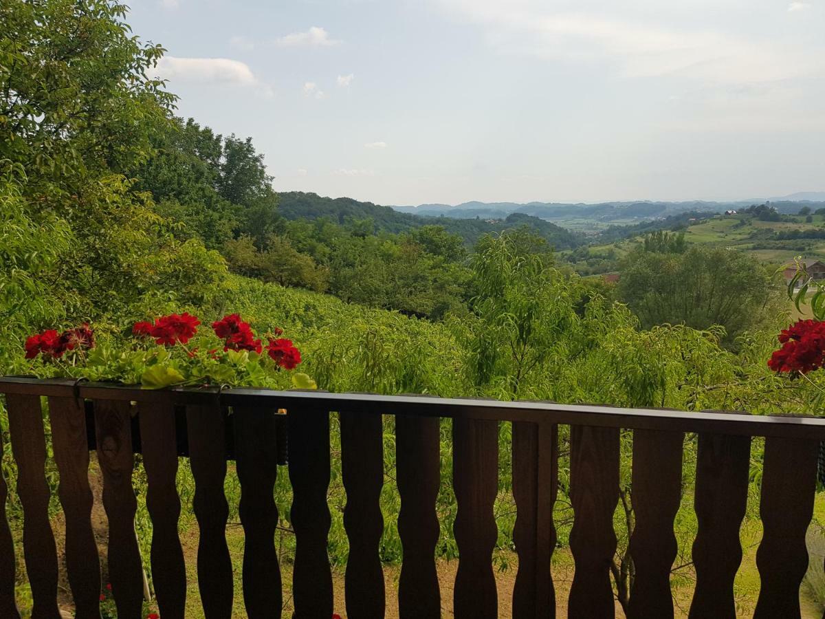 Apartman Potocki Krapina Dış mekan fotoğraf